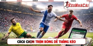Cách chọn trận bóng dễ thắng kèo