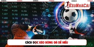cách đọc kèo bóng đá dễ hiểu