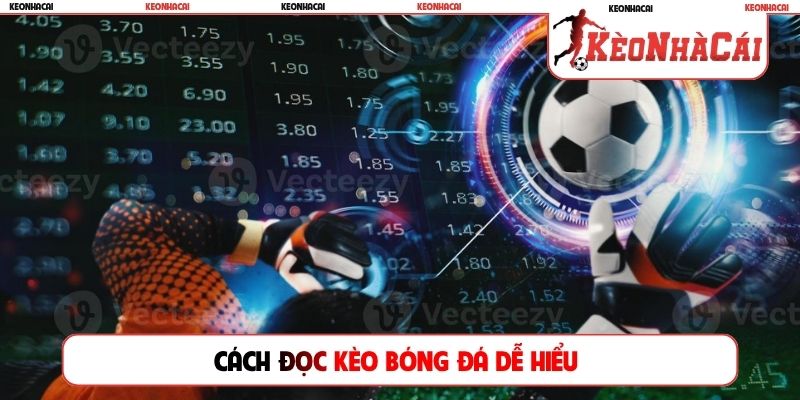 cách đọc kèo bóng đá dễ hiểu