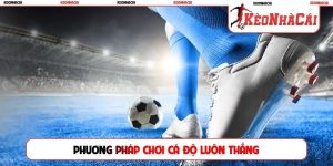phương pháp chơi cá độ luôn thắng