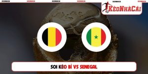 Soi Kèo Bỉ Vs Senegal, 03h00 Ngày 02/07, Vòng 1/32 World Cup