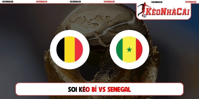 Soi Kèo Bỉ Vs Senegal, 03h00 Ngày 02/07, Vòng 1/32 World Cup