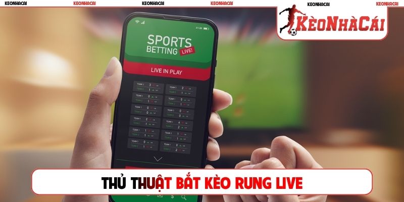 Thủ thuật bắt kèo rung live