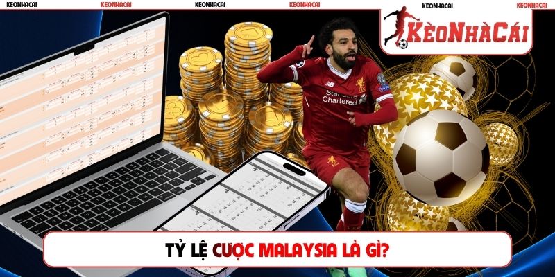 tỷ lệ cược Malaysia là gì